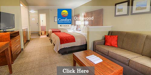 Comfort Inn & Suites at Dollywood Lane