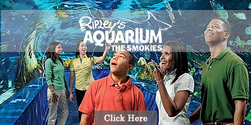 Smokies Aquarium