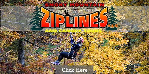 Zip line canopy tours in Pigeon Forge